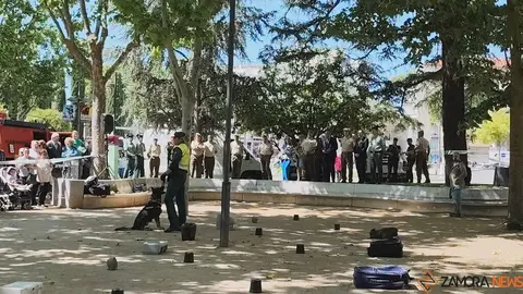 Día de las Fuerzas Armadas en Zamora_30