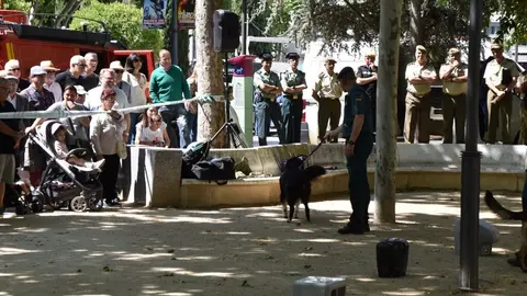 Día de las Fuerzas Armadas en Zamora_32