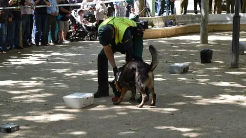 Día de las Fuerzas Armadas en Zamora_34