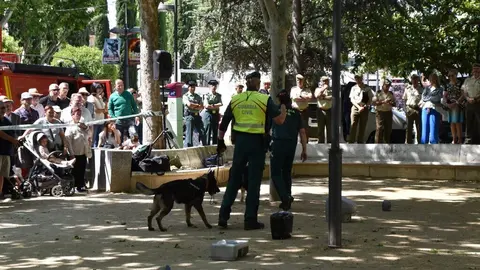 Día de las Fuerzas Armadas en Zamora_36