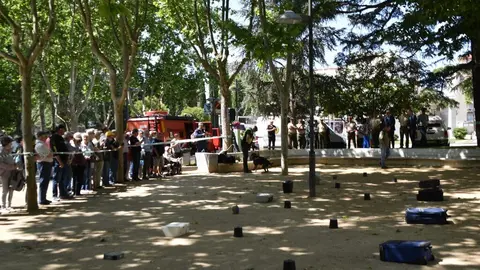 Día de las Fuerzas Armadas en Zamora_38