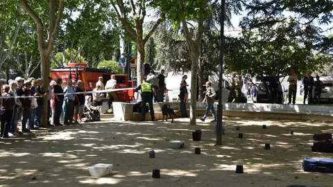 Día de las Fuerzas Armadas en Zamora_41