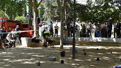 Día de las Fuerzas Armadas en Zamora_42