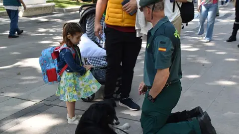 Día de las Fuerzas Armadas en Zamora_55