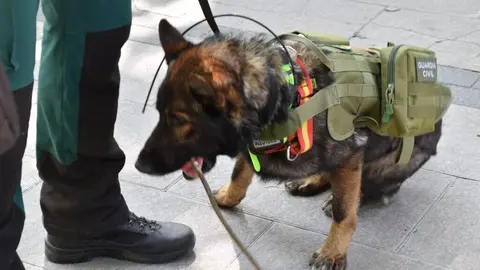 Día de las Fuerzas Armadas en Zamora_57