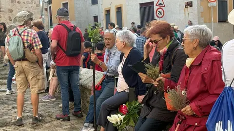 Romería de la Virgen de la Concha 2025_5