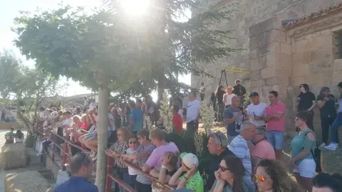 fiestas Fuente el Carnero (2)