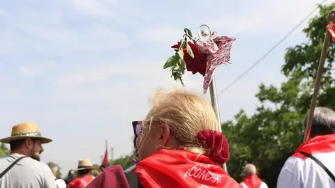 romeria La Hiniesta _5