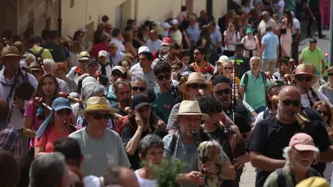 romeria La Hiniesta _32