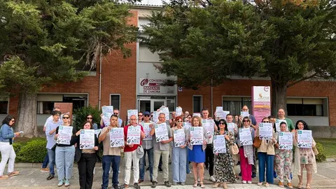 Manifestación, Conservatorio de Zamora