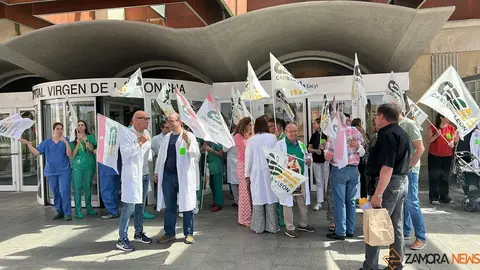 manifestación médicos virgen de la concha_4