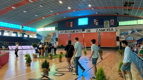 Clausura Juegos Escolares (35)