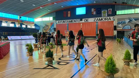 Clausura Juegos Escolares (75)