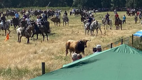 Vadillo de la Guareña  (1)