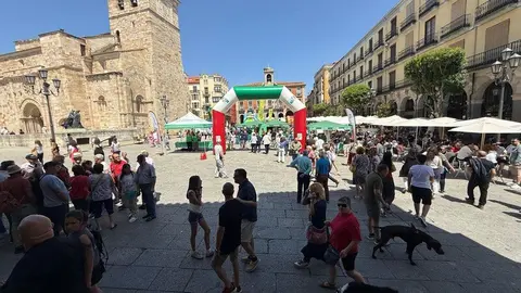 Encuentro Solidario de Cortadores