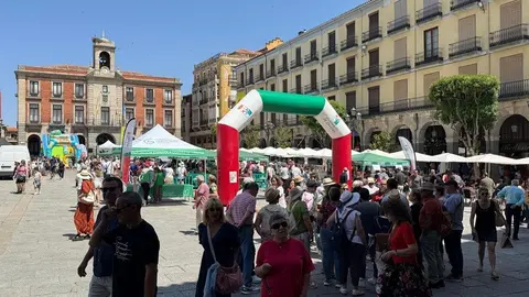 Encuentro Solidario de Cortadores_2