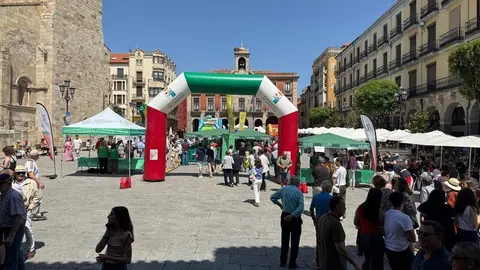 Encuentro Solidario de Cortadores_3