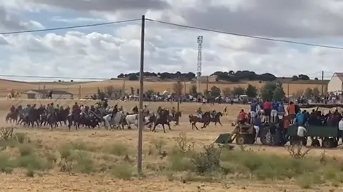 espantes Guarrate (1)