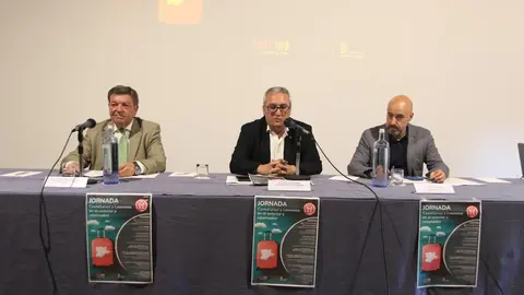 campaña 'Crece en Castilla y León'