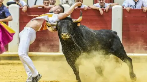 Concurso de cortes, Tauroemoción