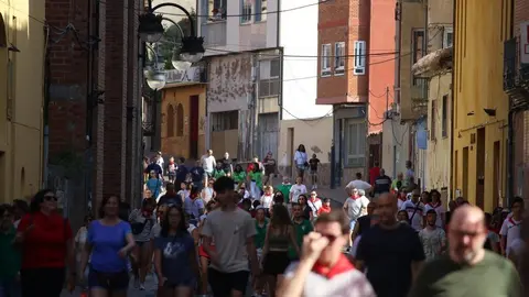 Toro Benavente