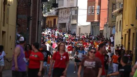 Toro Benavente_3