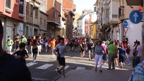 Toro Benavente_4