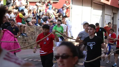 Toro Benavente_6