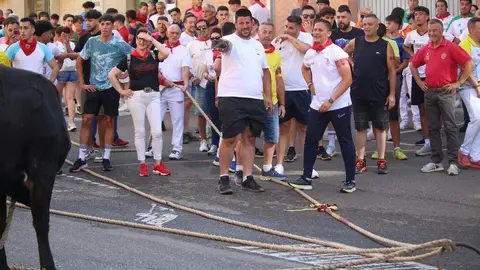 Toro Benavente_13