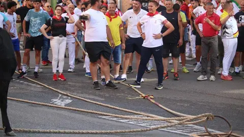 Toro Benavente_14