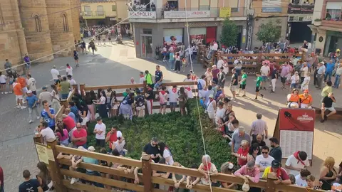 Toro Enmaromado de 2025