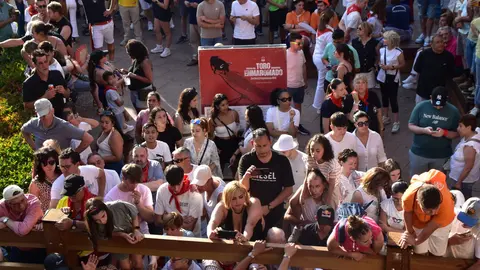 toro benavente 2025 (13)
