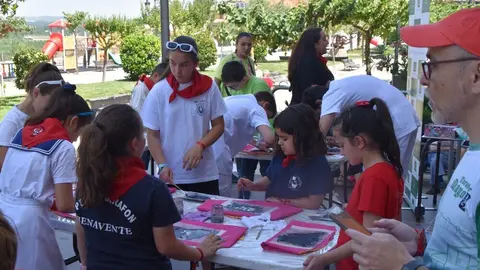 toro benavente 2025_62