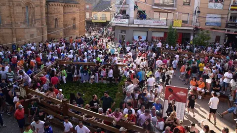 toro benavente 2025_95