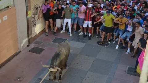 toro benavente 2025_109