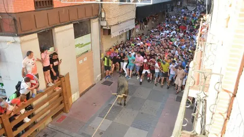 toro benavente 2025_104