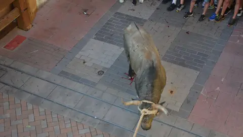 toro benavente 2025_117