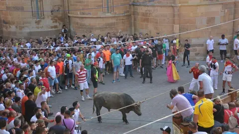 toro benavente 2025_127