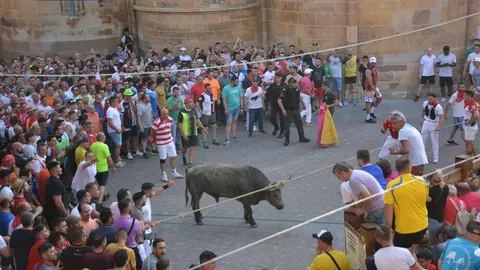 toro benavente 2025_129