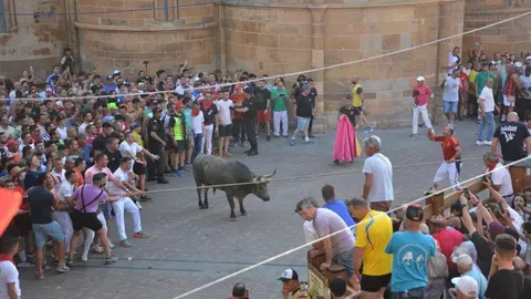toro benavente 2025_134