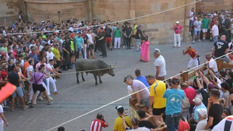toro benavente 2025_136