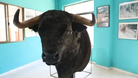 toro benavente 2025_148
