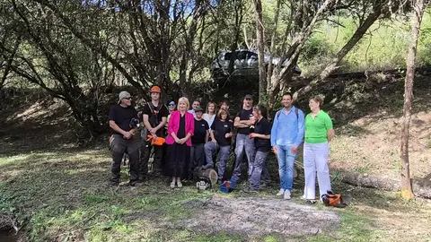 PROGRAMA MIXTO ALCAÑICES