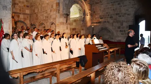 Concierto solidario en San Cipriano ZamorArte - Imagen de redes sociales