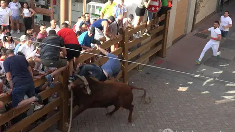 Torito del Alba. Imagen de Interbenavente