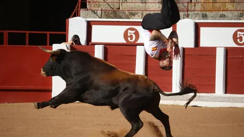Concurso Nacional de Cortes en Zamora_15