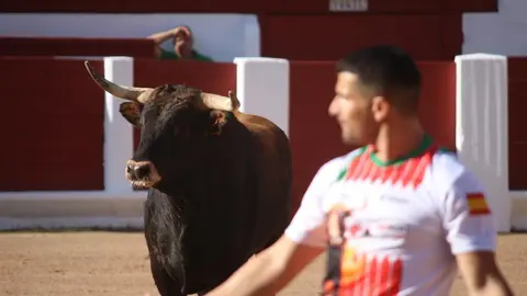 Concurso Nacional de Cortes en Zamora_16