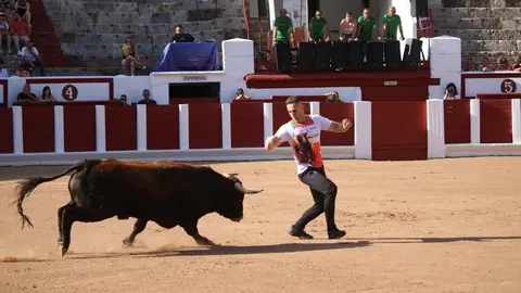 Concurso Nacional de Cortes en Zamora_22