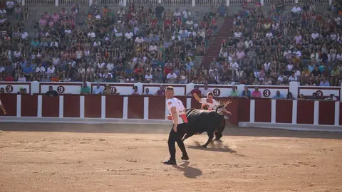 Concurso Nacional de Cortes en Zamora_23