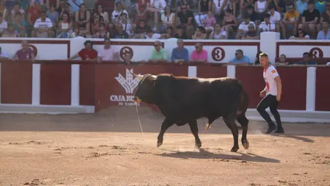 Concurso Nacional de Cortes en Zamora_24